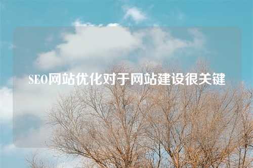 SEO网站优化对于网站建设很关键