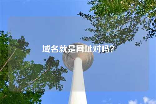域名就是网址对吗?
