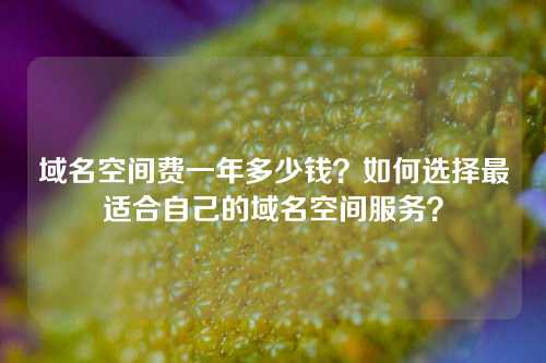 域名空间费一年多少钱?如何选择最适合自己的域名空间服务?