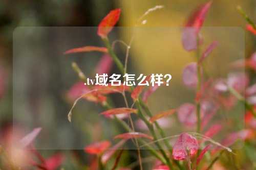 .tv域名怎么样?