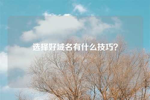 选择好域名有什么技巧?