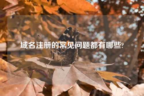 域名注册的常见问题都有哪些?