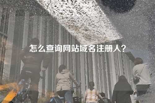 怎么查询网站域名注册人？