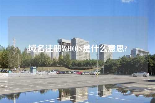 域名注册WHOIS是什么意思?
