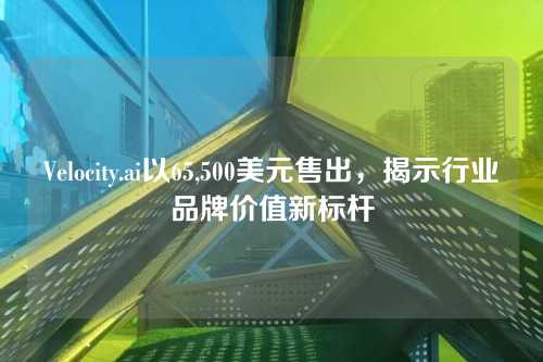 Velocity.ai以65,500美元售出,揭示行业品牌价值新标杆