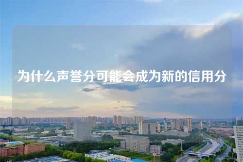 为什么声誉分可能会成为新的信用分