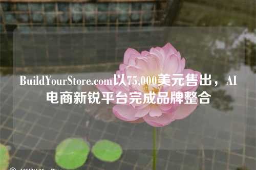 BuildYourStore.com以75,000美元售出,AI电商新锐平台完成品牌整合